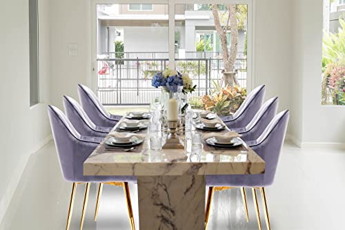 Velvet Dining Chairs Soft Padded Velvet Dining Room Chairs, Office Chairs, Living Room Chairs, Reception Chairs, HYGRAD®…