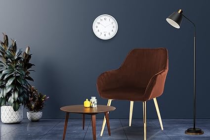 Velvet Dining Chairs Soft Padded Velvet Dining Room Chairs, Office Chairs, Living Room Chairs, Reception Chairs, HYGRAD®…