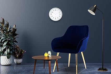 Velvet Dining Chairs Soft Padded Velvet Dining Room Chairs, Office Chairs, Living Room Chairs, Reception Chairs, HYGRAD®…