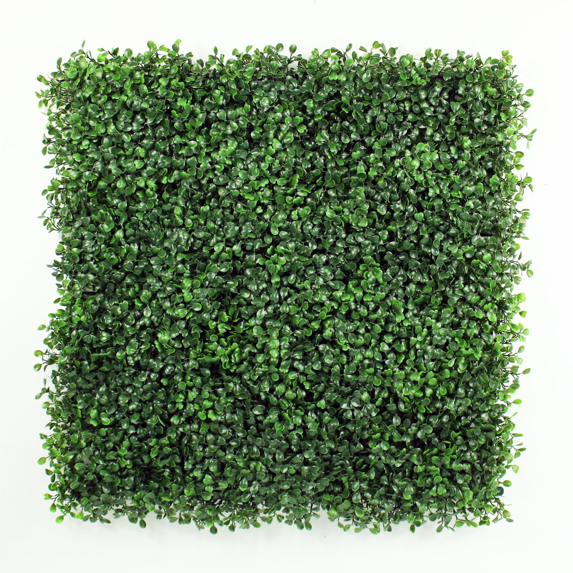 HYGRAD® 12 x Artificial Boxwood Topiary Green Artificial Grass Screen Fencing Hedge Panels 50 x 50 UK Artificial Wall Decoration Panels (Pack of 12)