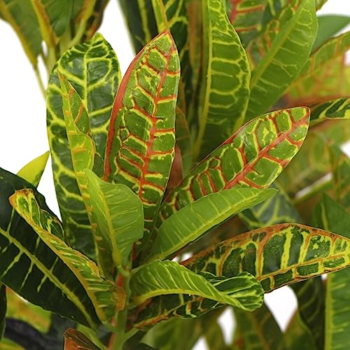 Large Artificial Fake Tree Plants Indoor Fake Decorative Plants In Pot Outdoor Fake Plant Pots Flora Exotic Tree Plants In Pots (Ficus elastica variegata - 150cm)