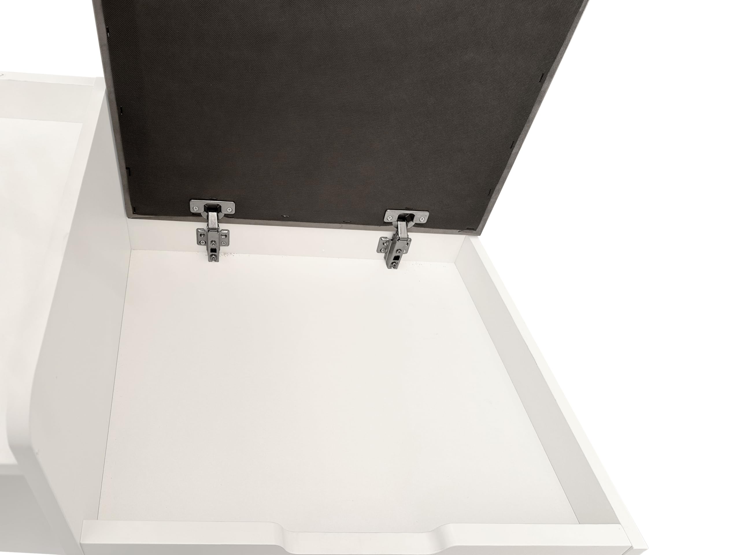 HYGRAD BUILT TO SURVIVE Shoe Storage Bench, Shoe Cabinet Rack Stool with Seat Cushion, 2 Shelves and Door, Solid Metal Legs Hallway Bench Shoe Stand Organizer Unit for Entryway Bedroom