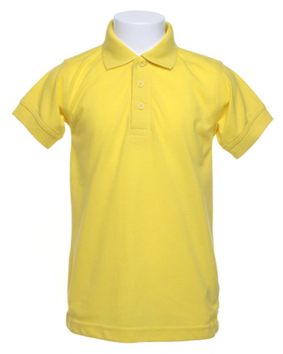 2015 SUMMER FRUIT COLOURS CHILDRENS UNISEX KIDS POLO T SHIRT AGES 3-14 YEARS UK